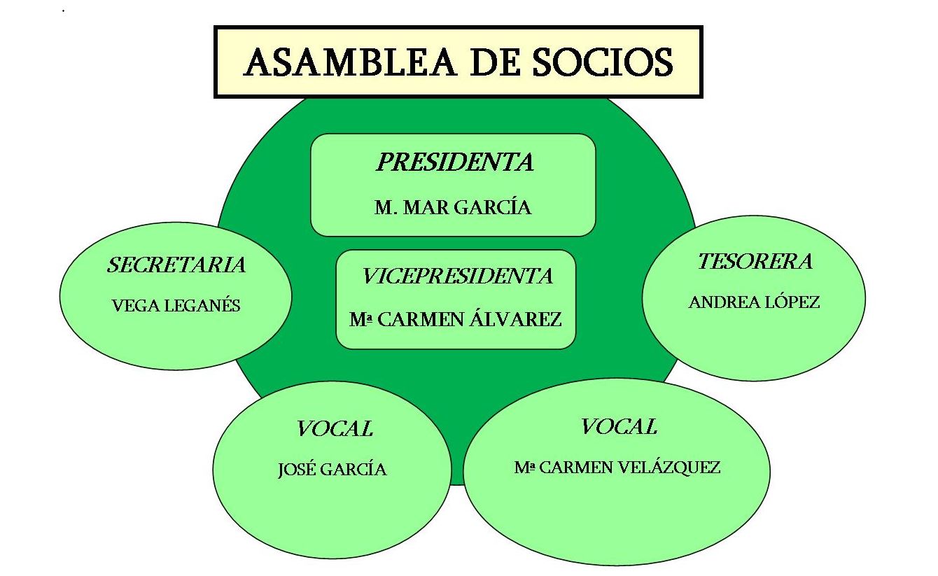 organigrama-junta-directiva-mayo-2025